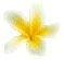 Psychic Readings